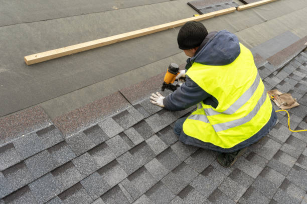 Roof Gutter Cleaning in Loris, SC